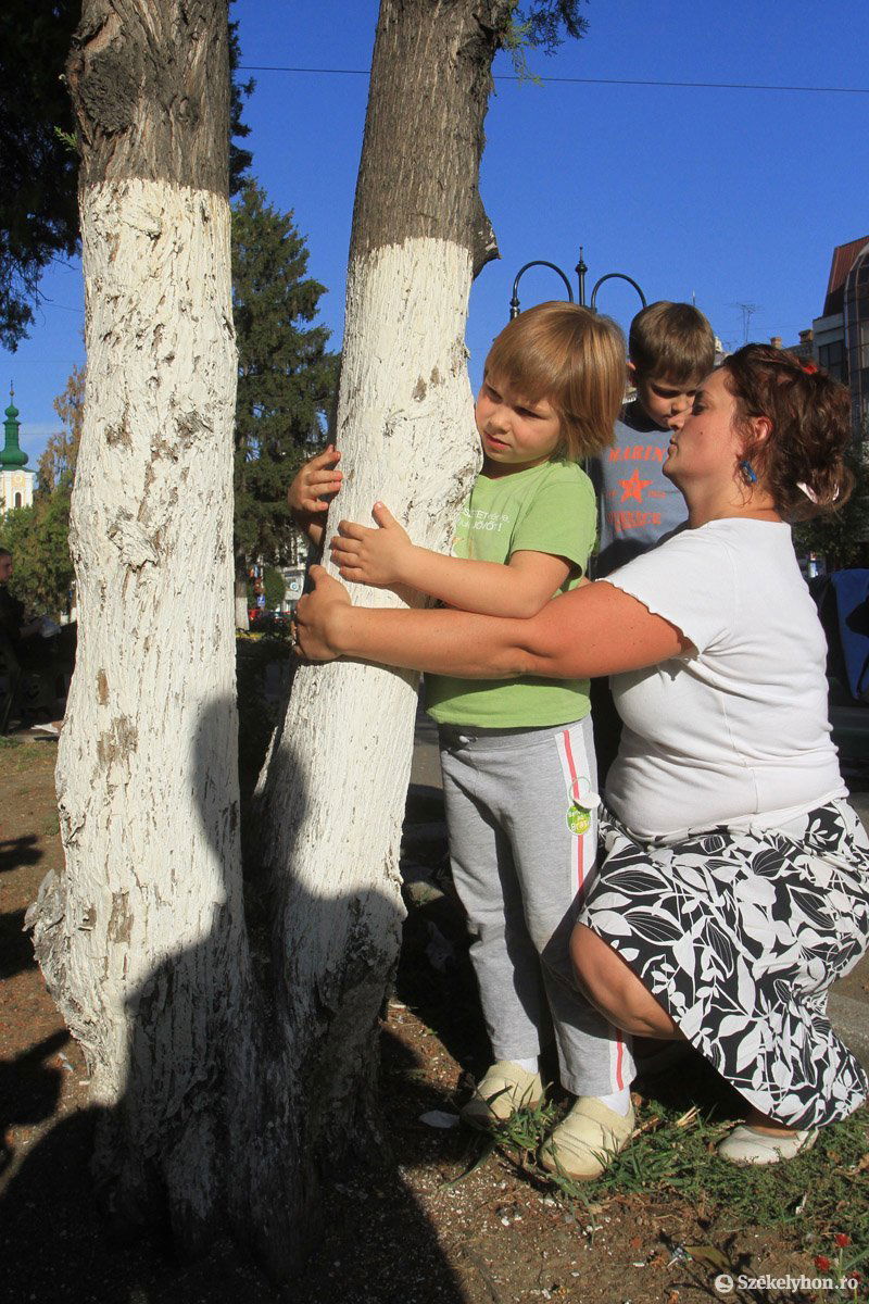 • Fotó: Boda L. Gergely