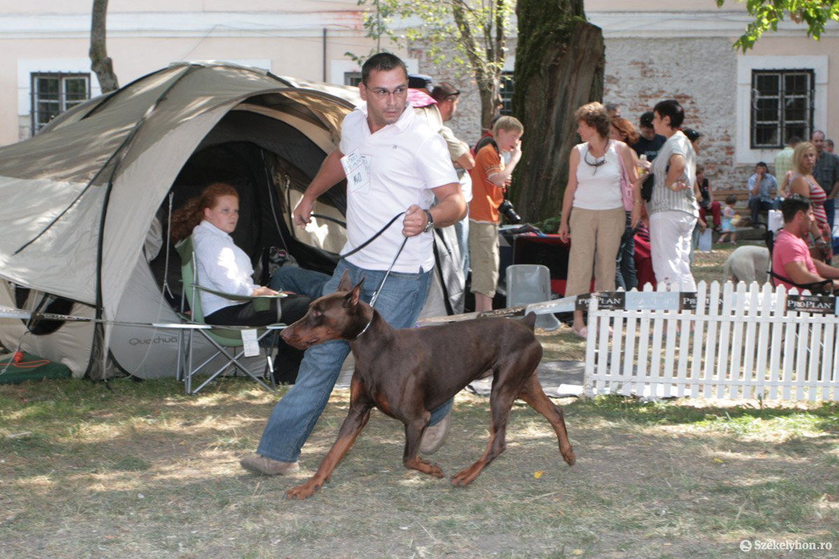 •  Fotó: Boda L. Gergely