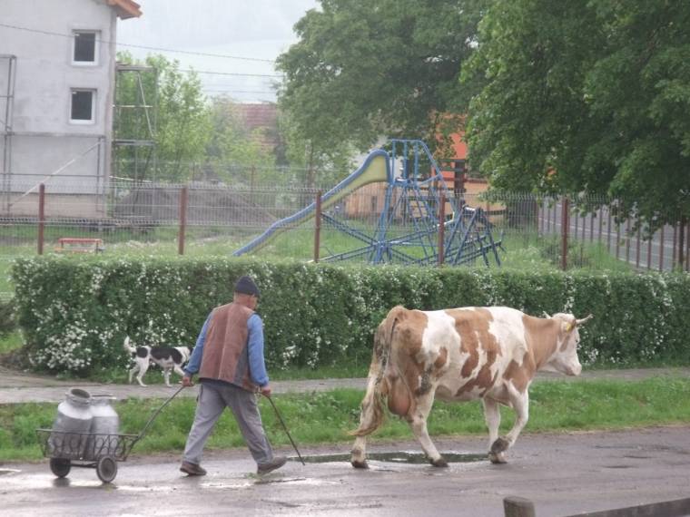 Tőlünk tanulnak a franciák