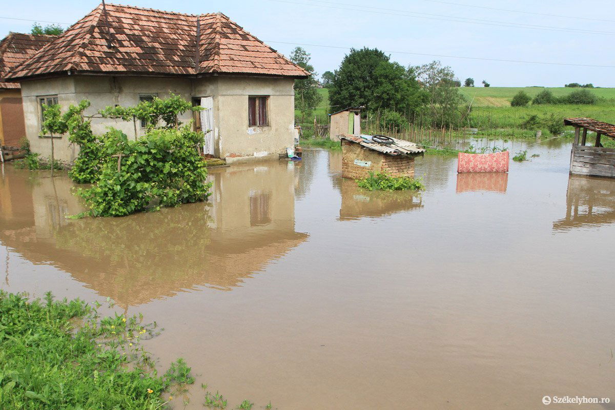 • Fotó: Boda L. Gergely