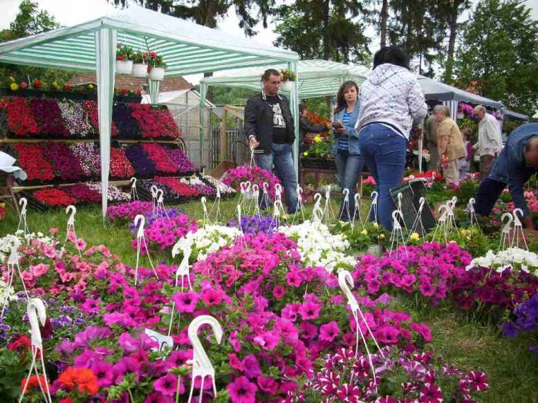 Színpompás virágok, didergő kiállítók-nézők, csizma az asztalon