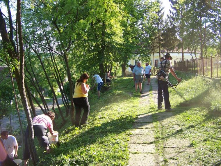 Huszonnyolc Maros megyei településen takarított a Néppárt