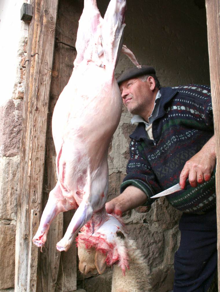 Kissé drágább a bárányhús, de van rá kereslet