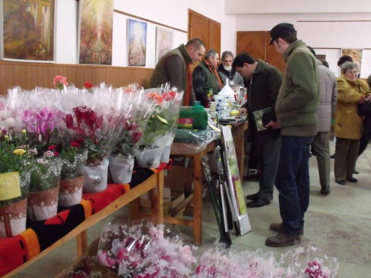 Nyárádszeredai Kertésznap – tizedszer