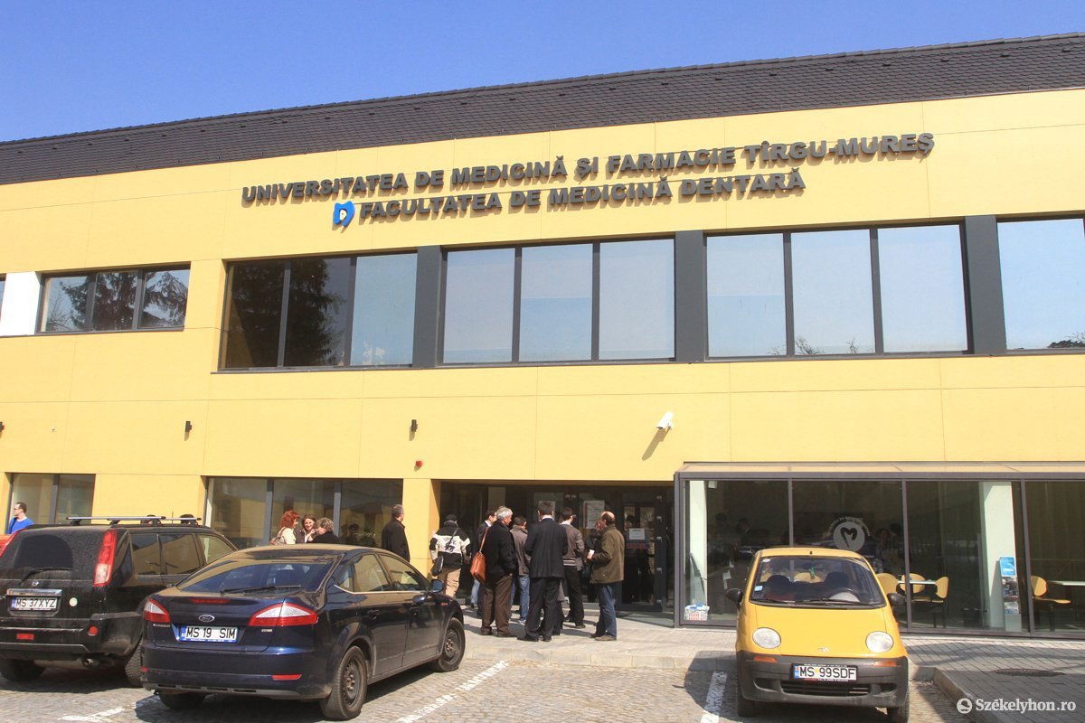 •  Fotó: Boda L. Gergely