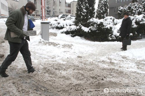 •  Fotó: Boda L. Gergely
