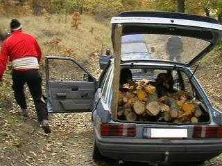 Illegális szállítmány