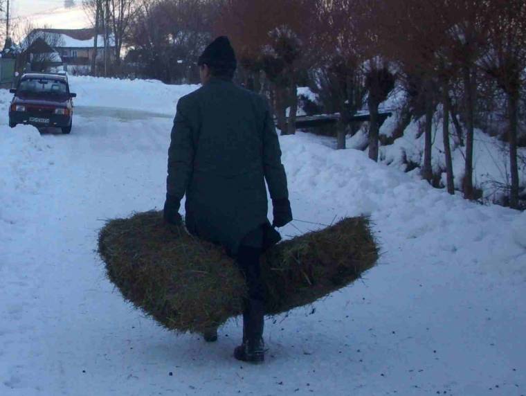 Februárban kifizetik a területalapú támogatást