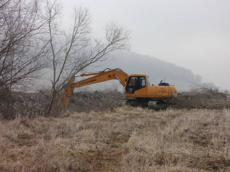 Konfliktus mederszabályozás miatt