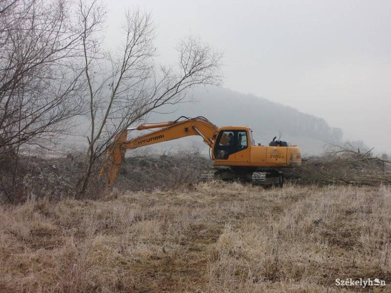 • Fotó: Gligor Róbert László