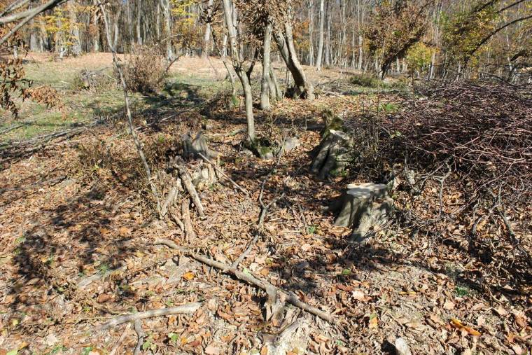 Nézeteltérések a Natura 2000-es védettség miatt