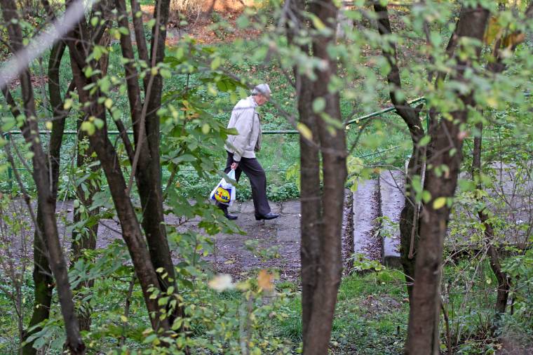 Újabb marosvásárhelyi vita a fakivágásokról
