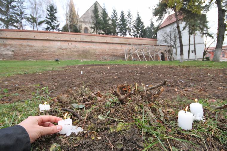 Gyertyagyújtás a kivágott bokrokért