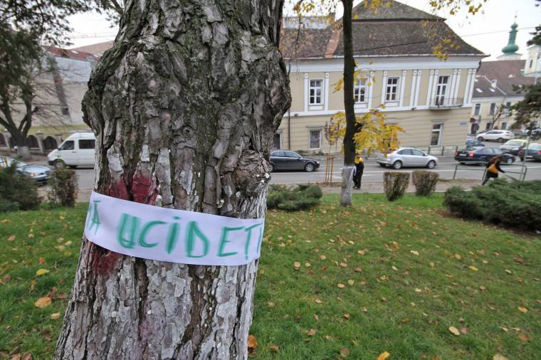 Gyertyagyújtás a kivágott bokrokért