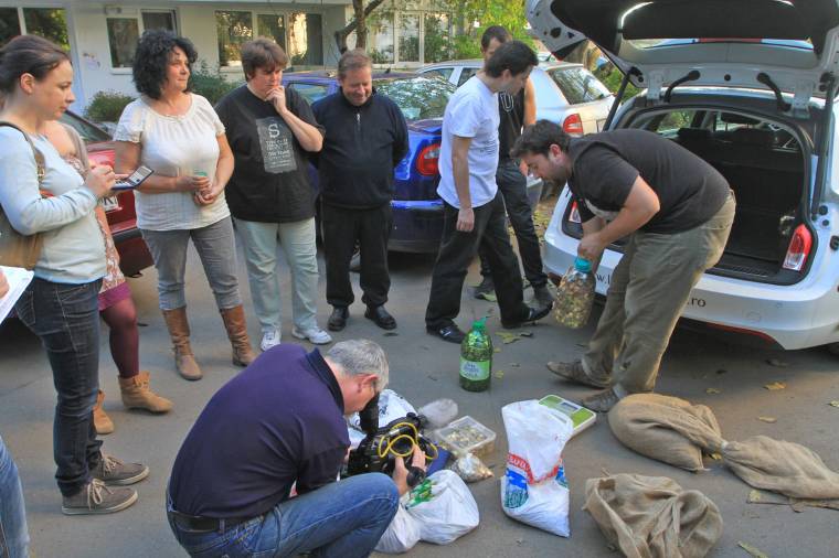 A szükségesnél is több egybanis gyűlt