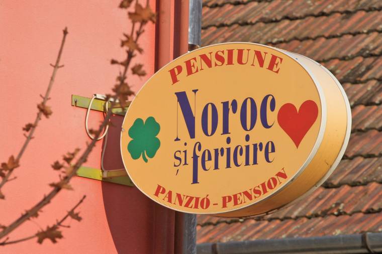 Kiskorúakat is futtatott a Maros megyei stricihálózat