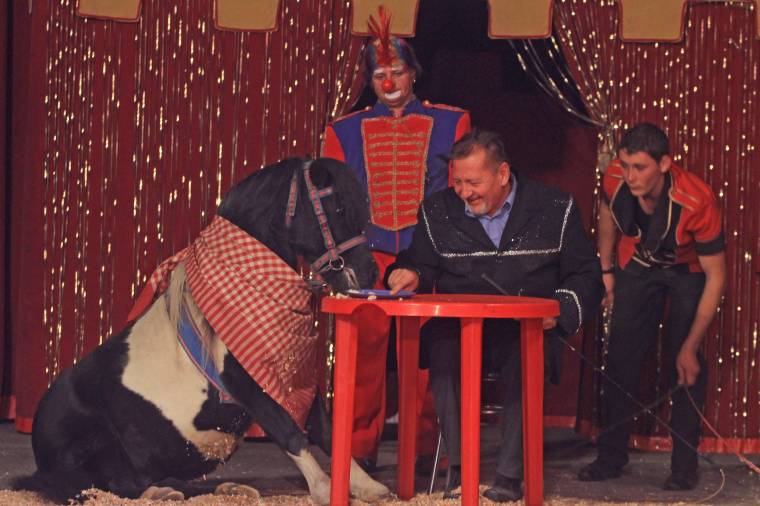 Az öröklődő bohócorrtól az éltető magasságig