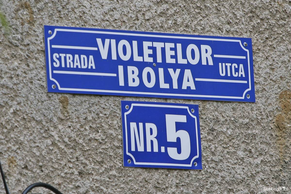 •  Fotó: Boda L. Gergely