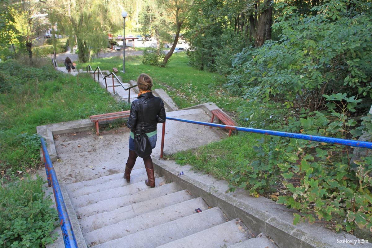 • Fotó: Boda L. Gergely