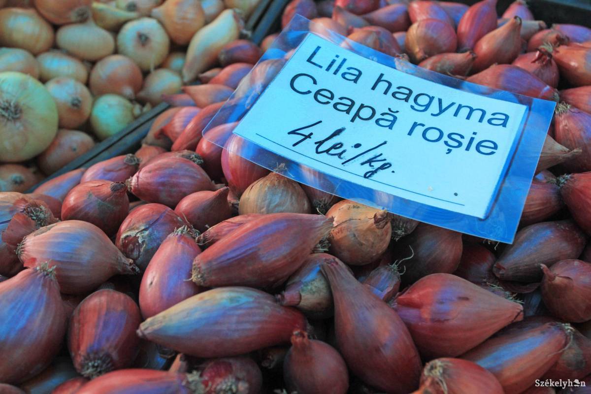 &bullet;  Fotó: Boda L. Gergely