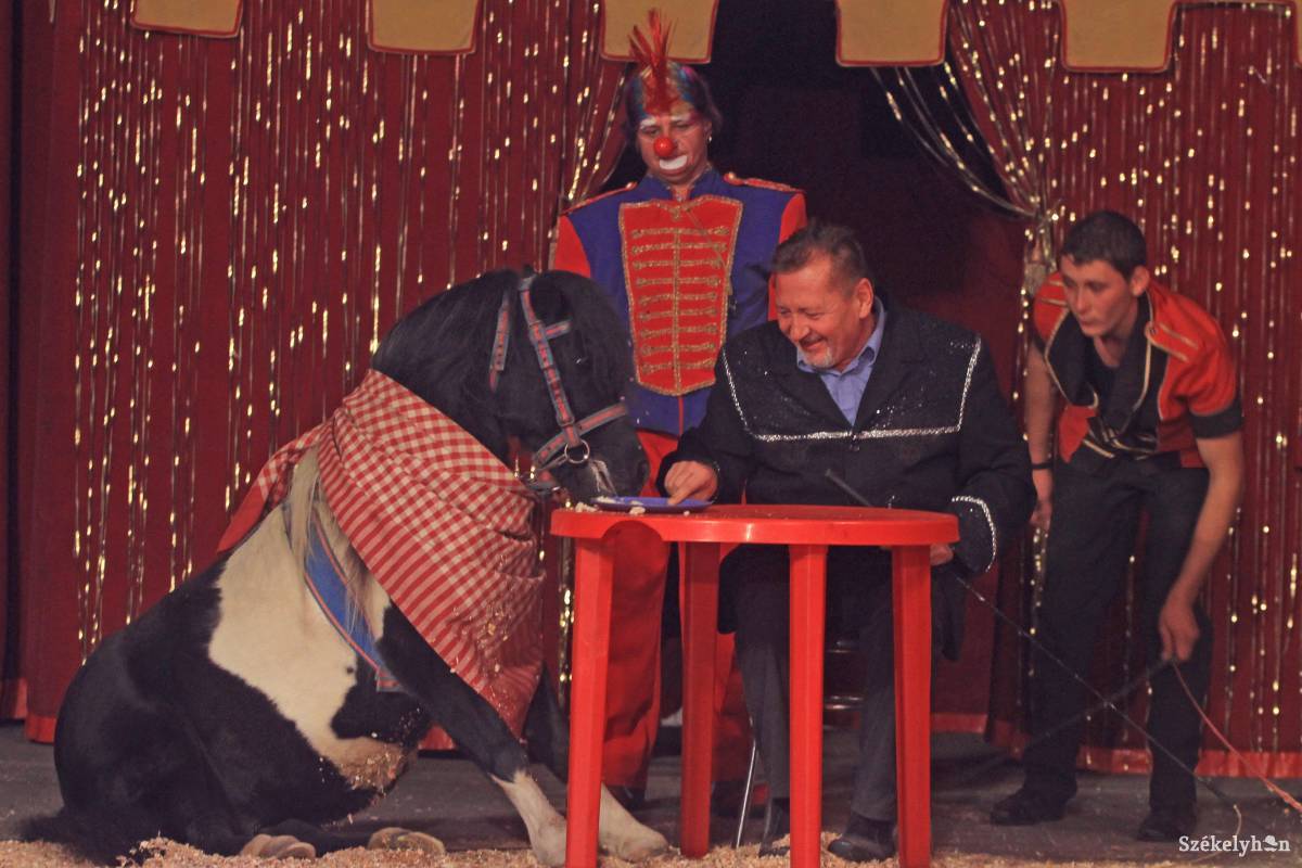 • Fotó: Boda L. Gergely