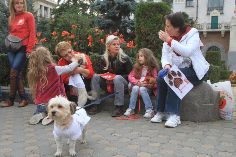 Marosvásárhelyen  és Szászrégenben nem altatják el a kutyákat
