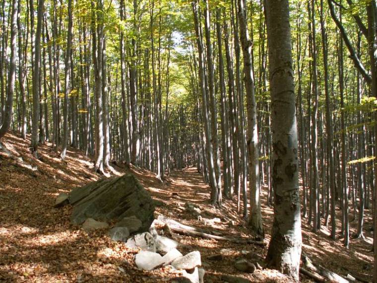 Teleki Samu-emléktúra hetedszer