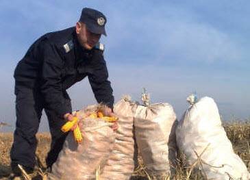 A falusi lopások megelőzéséért járőröznek
