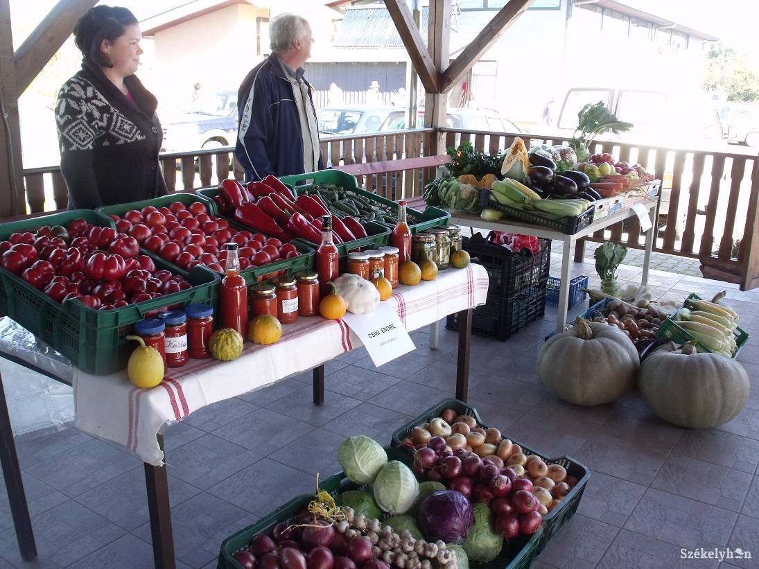 &bullet;  Fotó: Gligor Róbert László