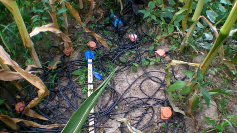 Behálózták Maros megyét (is)