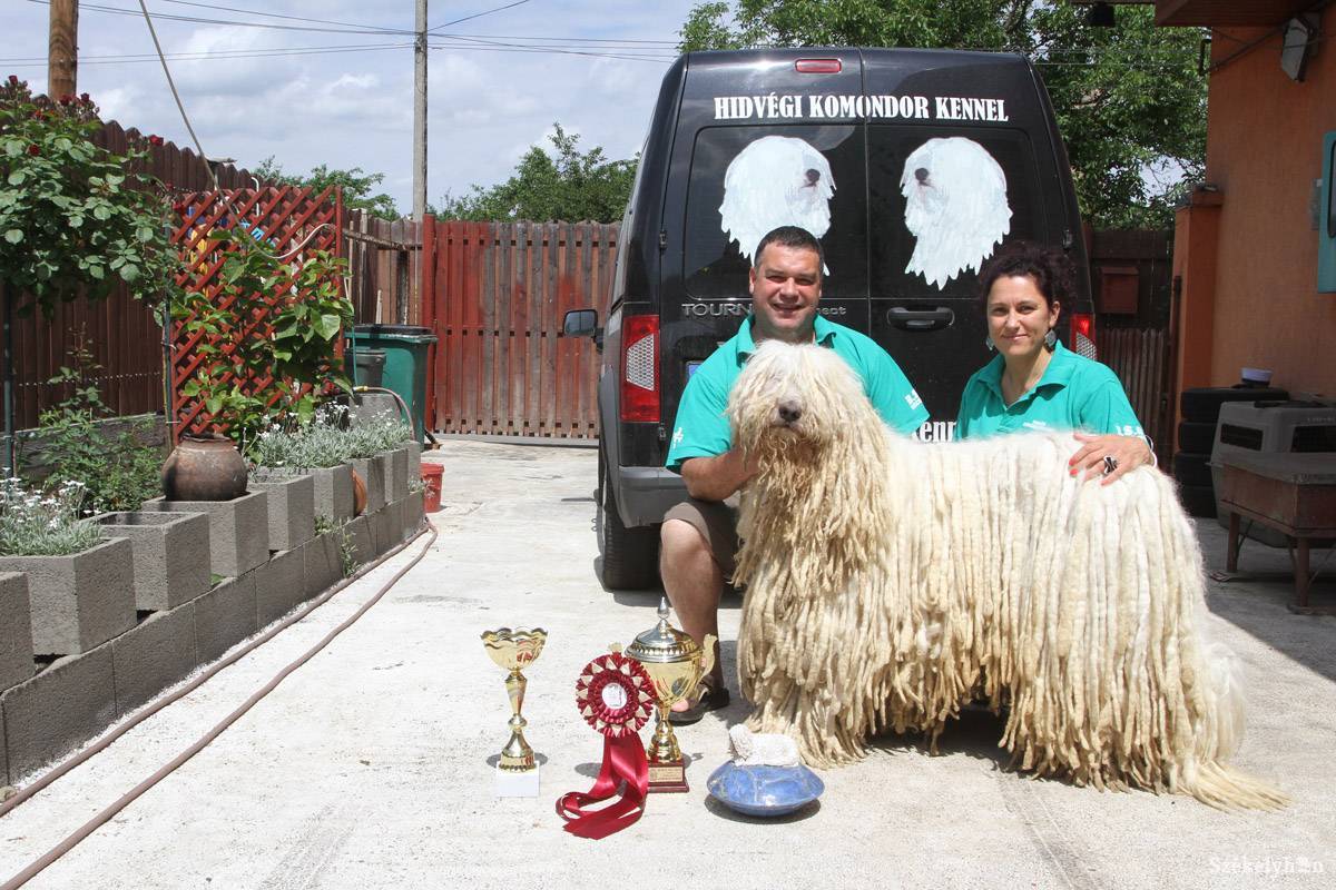 • Fotó: Boda L. Gergely