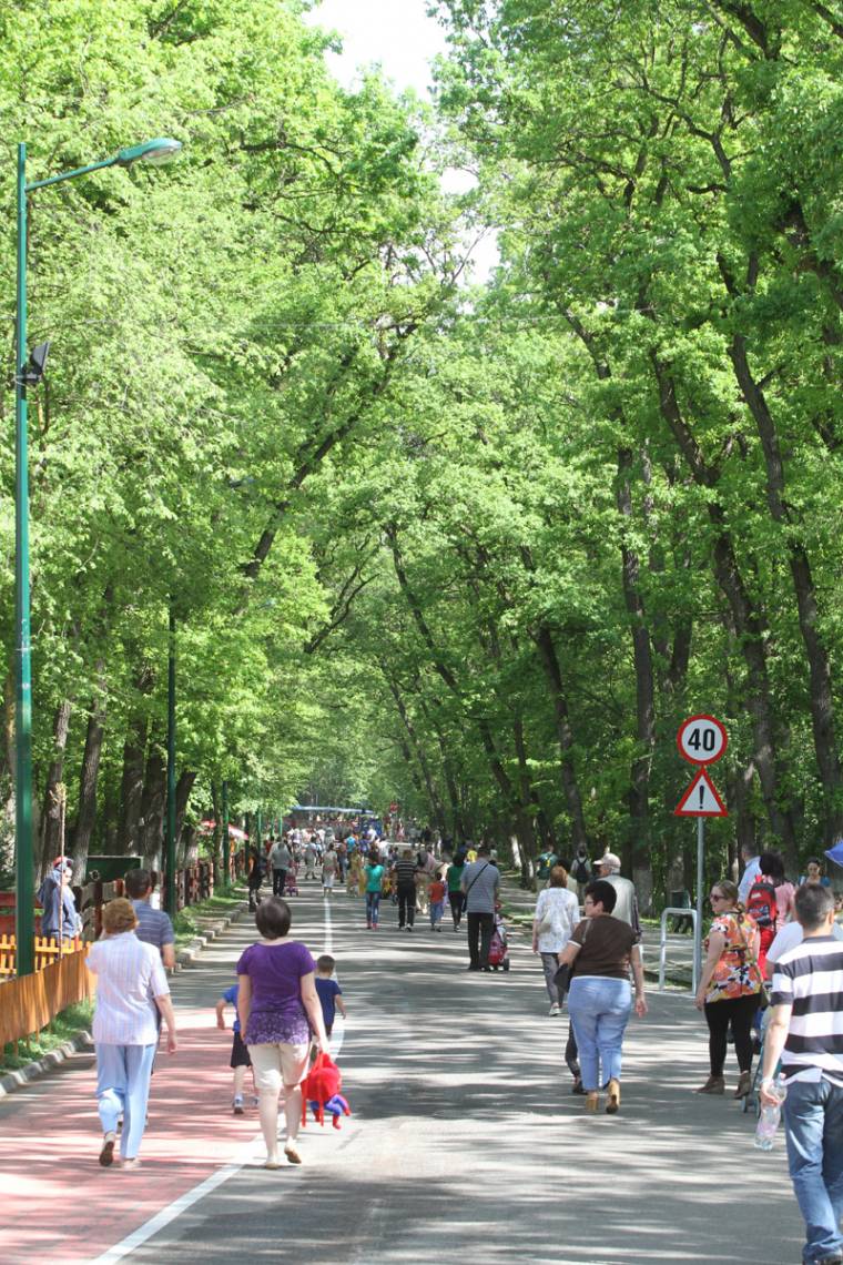 Buszokkal is el lehet jutni a Somostetőre