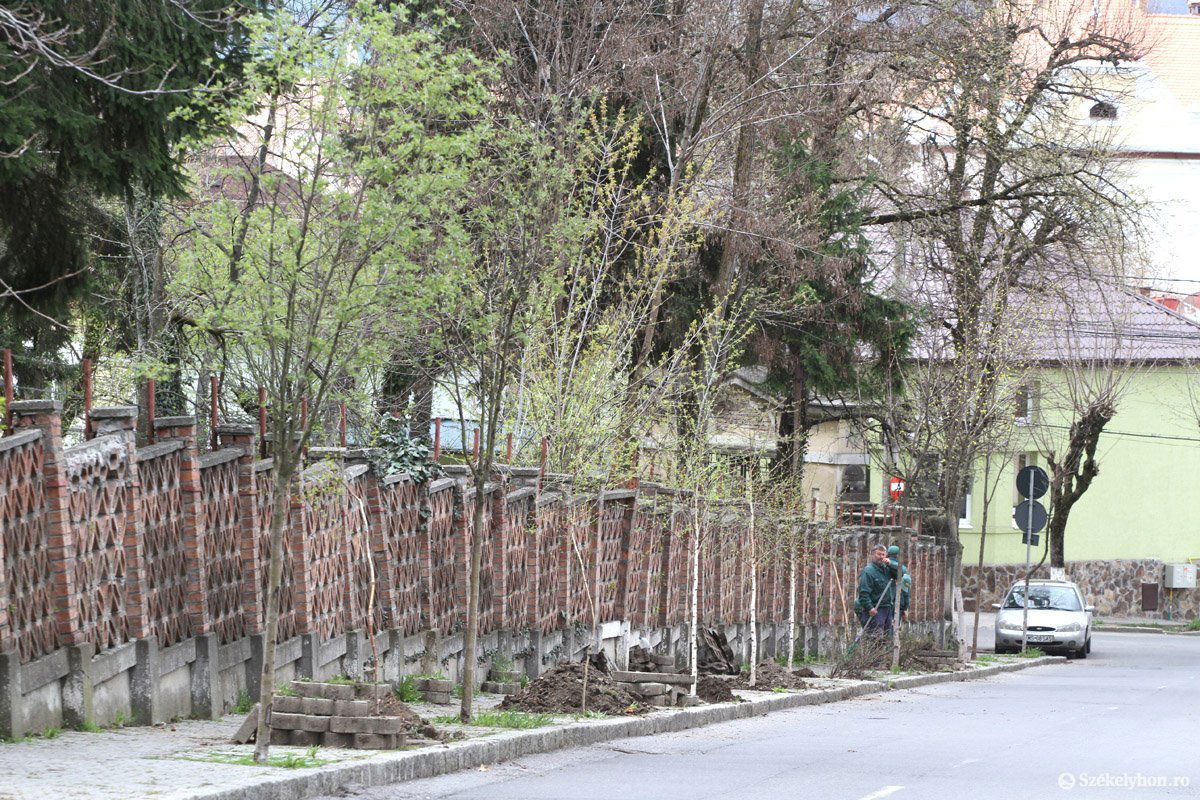 &bullet;  Fotó: Boda L. Gergely