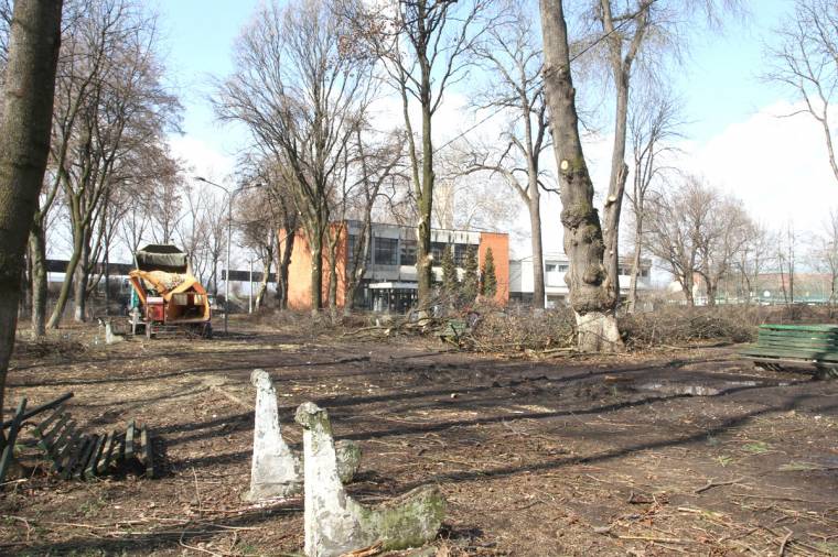 Kitakarítják a marosvásárhelyi Ligetet