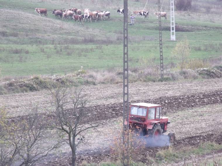 Szigorúbb ellenőrzések a földalapú támogatások kapcsán