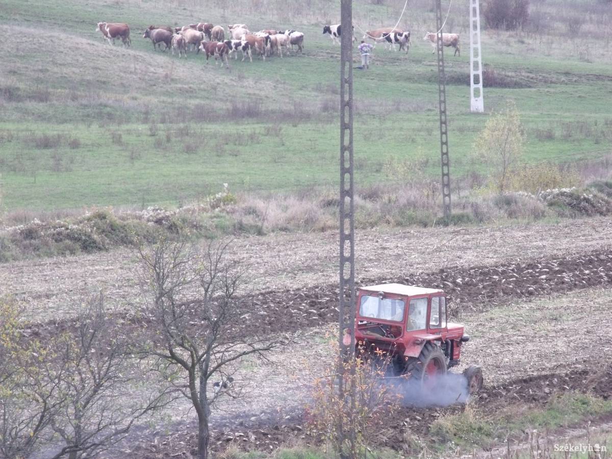 &bullet;  Fotó: Gligor Róbert László