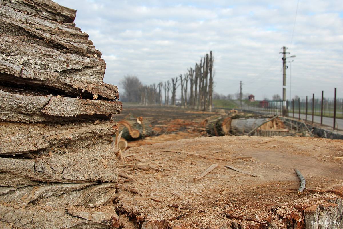 Képünk illusztráció &bullet;  Fotó: Haáz Vince