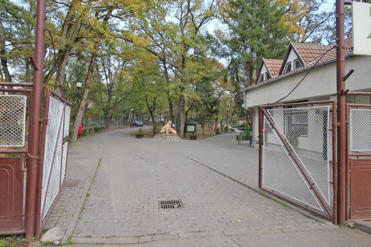 Kisjárgányokba ülhetnek a gyerekek az állatkertben
