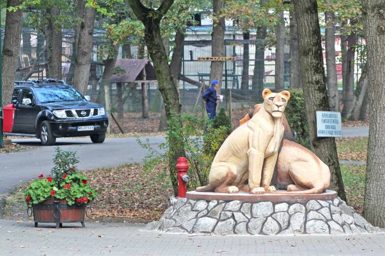 Továbbra is színesre festettek a vásárhelyi állatkert szobrai