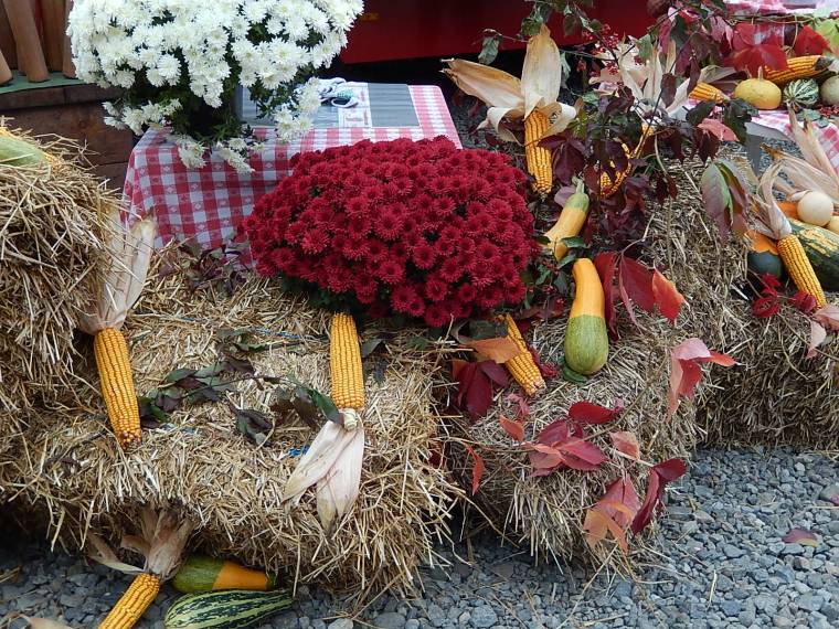 Nagyszabású mezőgazdasági kiállítást és vásárt szerveztek Ákosfalván