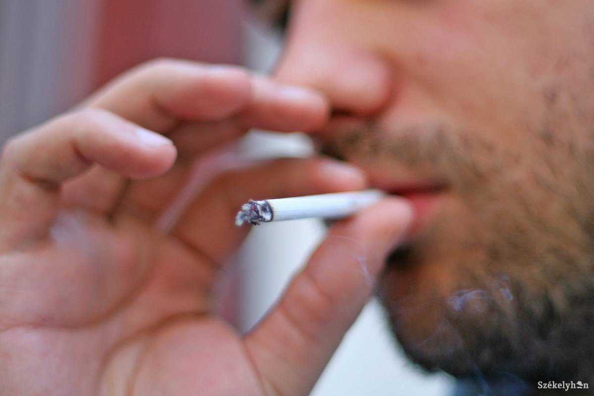 &bullet;  Fotó: Boda L. Gergely