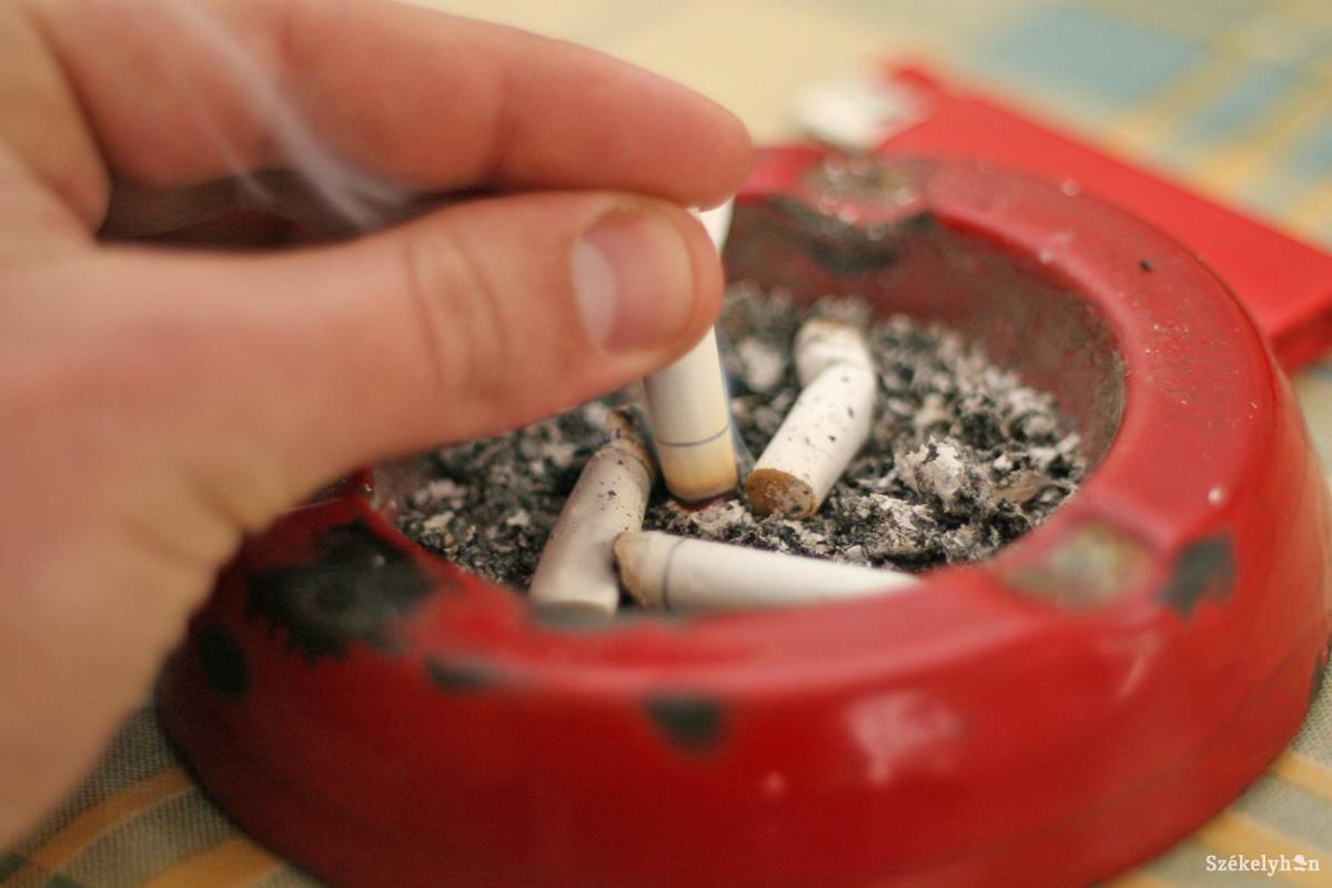 •  Fotó: Boda L. Gergely