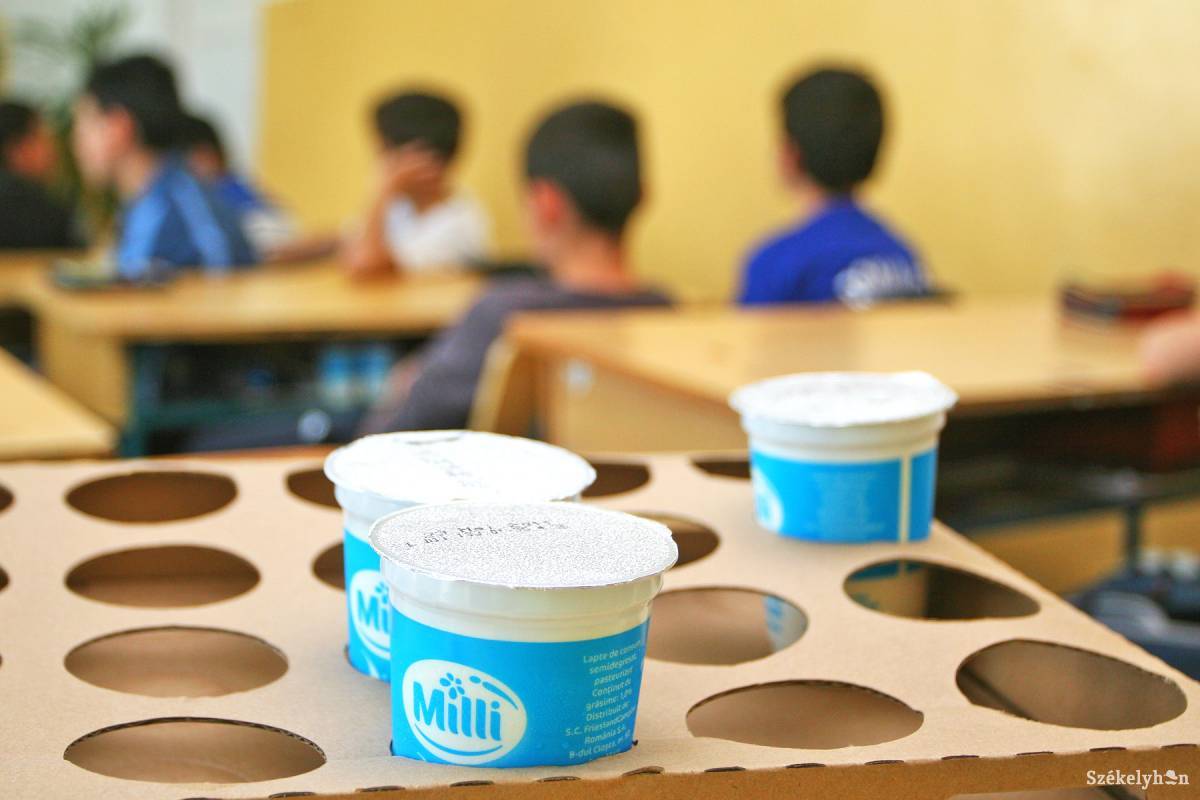 • Fotó: Boda L. Gergely