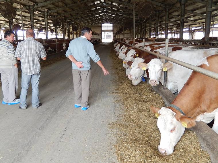 Elfogadás előtt az új vidékfejlesztési stratégia
