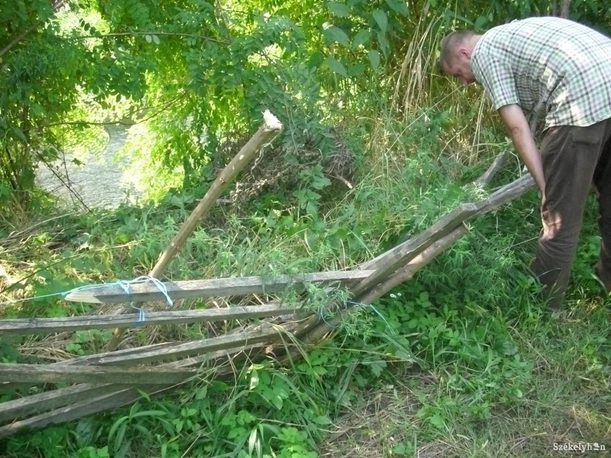 •  Fotó: Bakó Zoltán