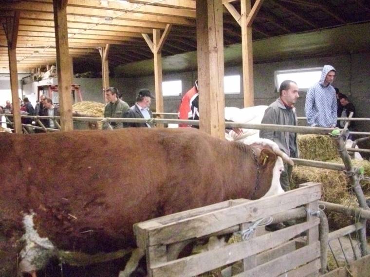 Hétfőtől az állatfarmokat vizsgálják