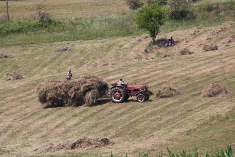 Marad a hét alapvető támogatási forma a mezőgazdaságban