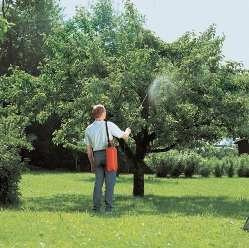 Elszállt a növényvédelmi előrejelző hálózat: nem tudnak szakszerűen védekezni a betegségek és a kártevők ellen a romániai gazdák