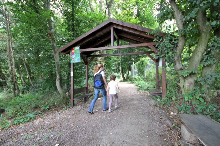 Ősztől munkatelep a Somostetőn