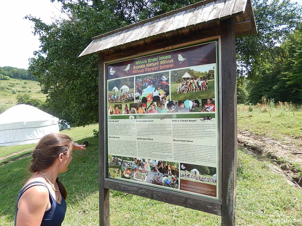 Leiskolázva. A Milvus nem örvend, hogy előzetes egyeztetés nélkül megvonták a védett területek gondnokságát &bullet;  Fotó: Gligor Róbert László